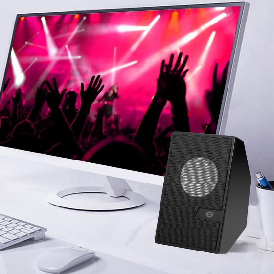 Wired Speakers