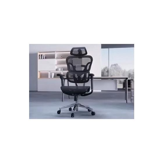 Ergonomic Chairs